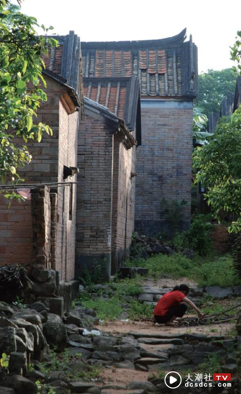 湛江这个盛产荔枝的千年古村，据传苏东坡都慕名来过